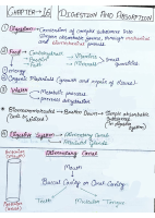 Digestion and Absorption.pdf
